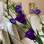 Wunderschoenes Terrassen-Appartement
