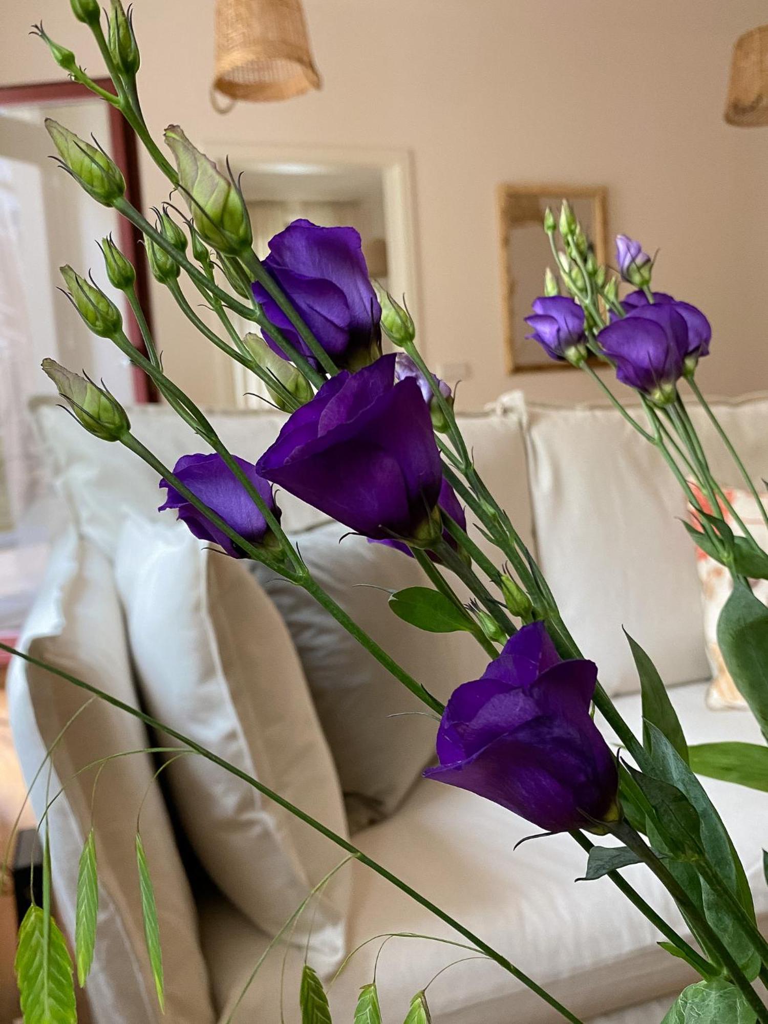 Wunderschoenes Terrassen-appartement Leipzig